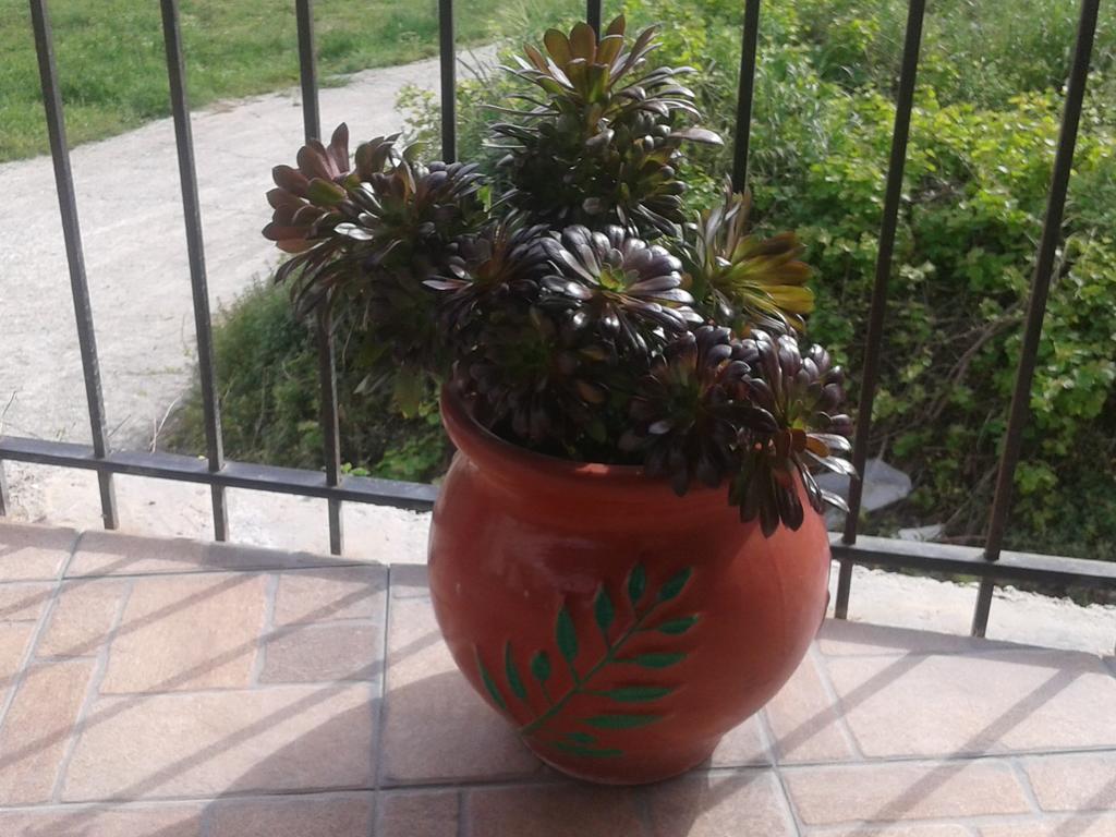 קיסאמוס Gramvousa'S Filoxenia Apartment מראה חיצוני תמונה